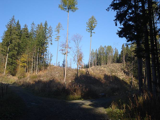 06 Blick nach oben und schon sehen wir keinen Nebel mehr